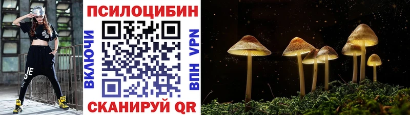 Псилоцибиновые грибы мицелий  Белёв 