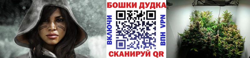 Бошки марихуана план Белёв